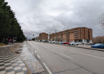 Cuenca en Marcha propone retirar la Avenida Juan Carlos I por falta de ejemplaridad democrática