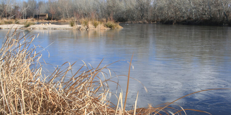 Ecologistas en Acción denuncia que Azuqueca de Henares elimina las visitas de fin de semana a la Reserva Ornitológica 1 Ecologistas en Acción denuncia que Azuqueca de Henares elimina las visitas de fin de semana a la Reserva Ornitológica