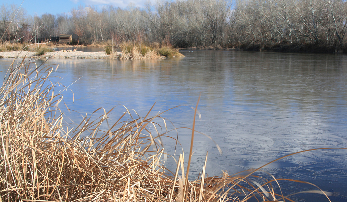 Ecologistas en Acción denuncia que Azuqueca de Henares elimina las visitas de fin de semana a la Reserva Ornitológica 2 Ecologistas en Acción denuncia que Azuqueca de Henares elimina las visitas de fin de semana a la Reserva Ornitológica