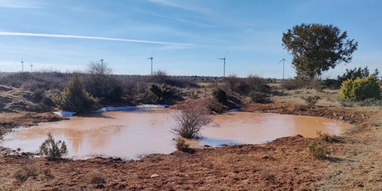 Ecologistas en Acción denuncia que las macrogranjas de Maranchón amenazan una laguna y una planta protegida