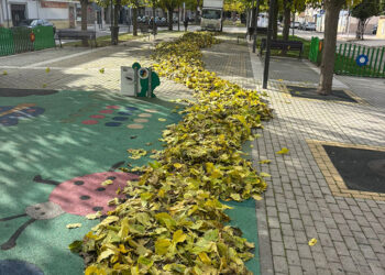 El Ayuntamiento de Azuqueca invierte más de 96.000 euros para mejorar la recogida de la hoja