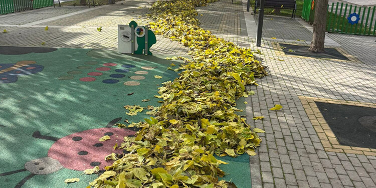 El Ayuntamiento de Azuqueca invierte más de 96.000 euros para mejorar la recogida de la hoja