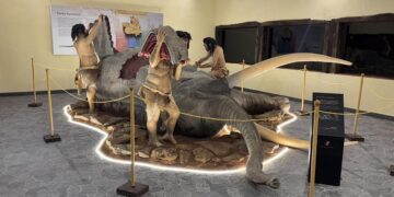 El Banquete Paleolítico ya se puede degustar en Tamajón