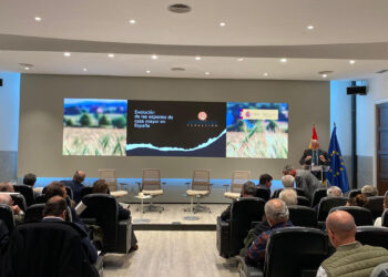 El aumento de poblaciones de caza mayor, un desafío en la gestión de enfermedades, accidentes de tráfico y daños agrícolas