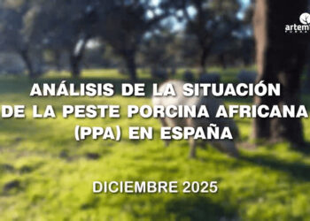 Expertos analizan la situación de la peste porcina africana en España en un nuevo documental de Fundación Artemisan