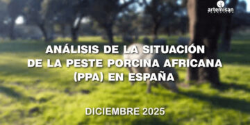 Expertos analizan la situación de la peste porcina africana en España en un nuevo documental de Fundación Artemisan