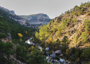 La ADR Molina de Aragón–Alto Tajo publica la convocatoria de ayudas LEADER al emprendimiento para impulsar nuevos proyectos rurales