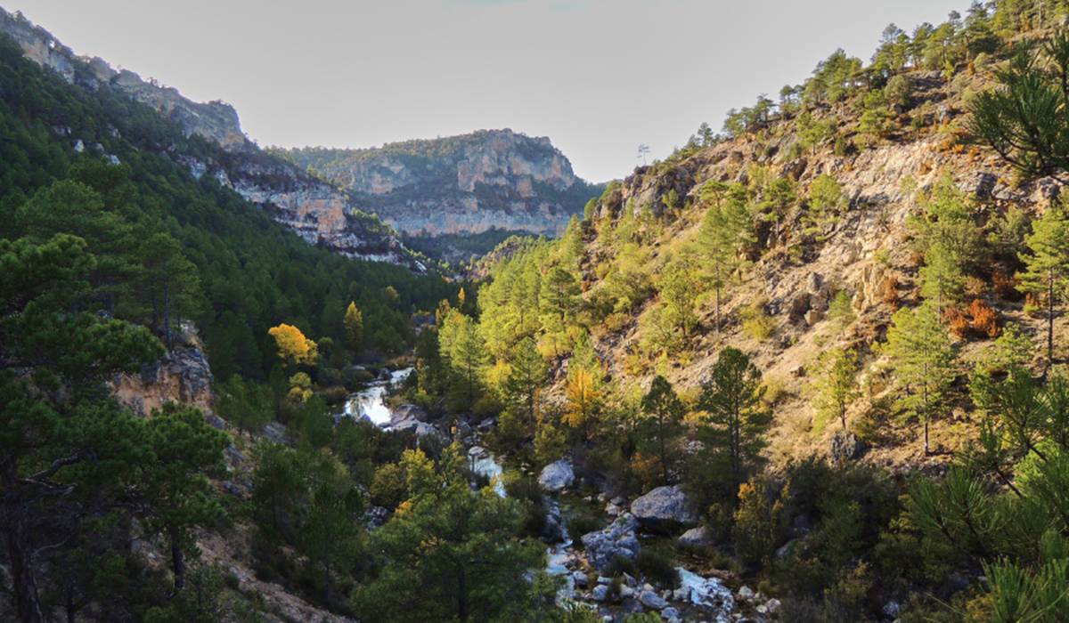 La ADR Molina de Aragón–Alto Tajo publica la convocatoria de ayudas LEADER al emprendimiento para impulsar nuevos proyectos rurales