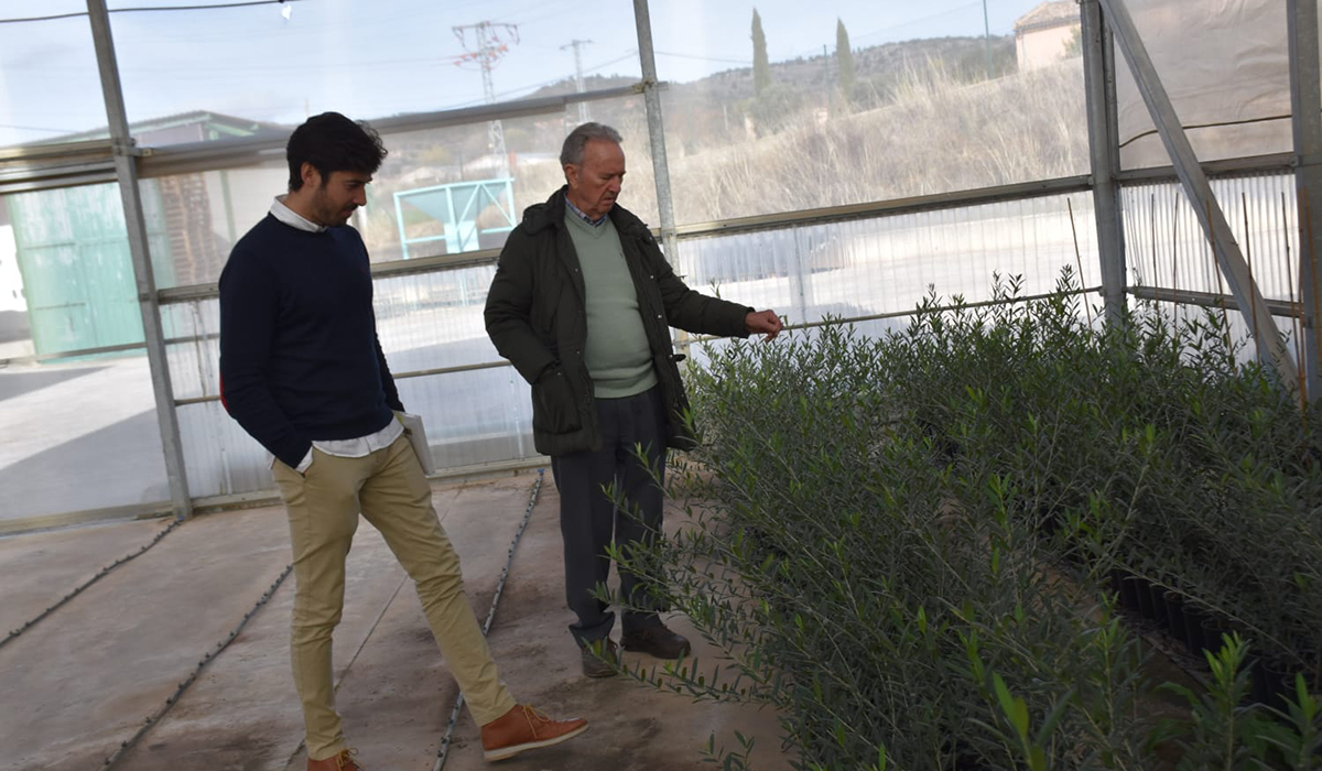 La Diputación de Cuenca apuesta por dar a conocer la calidad del aceite de La Alcarria con una ayuda de 60.000 euros