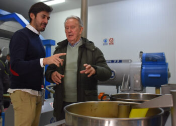 La Diputación de Cuenca apuesta por dar a conocer la calidad del aceite de La Alcarria con una ayuda de 60.000 euros