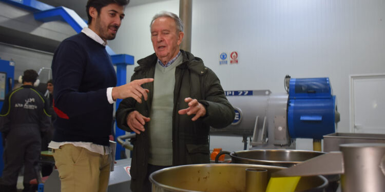 La Diputación de Cuenca apuesta por dar a conocer la calidad del aceite de La Alcarria con una ayuda de 60.000 euros