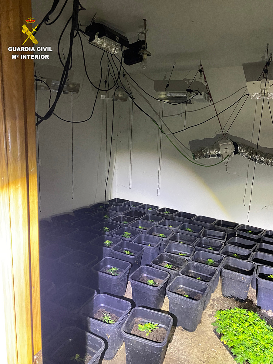 La Guardia Civil detiene en Villar de Olalla a un fugitivo con una plantación de marihuana y cinco delitos a sus espaldas