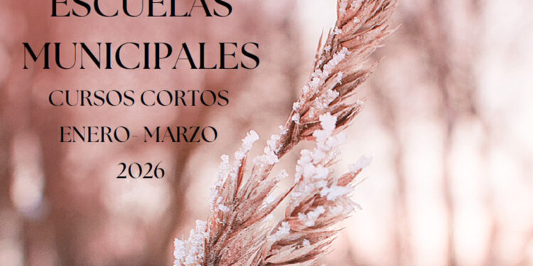 Las Escuelas Municipales de Guadalajara lanzan nuevos cursos cortos para el primer trimestre de 2026 1 Las Escuelas Municipales de Guadalajara lanzan nuevos cursos cortos para el primer trimestre de 2026
