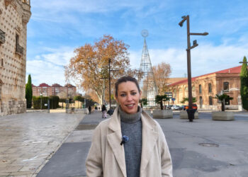Lucía de Luz Estamos ante la Navidad más oscura de Guarinos, muchas de las luces de los barrios, calles y plazas de Guadalajara permanecen apagadas