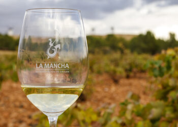 Satisfacción en el Consejo Regulador tras el ‘Día del Airén’ 2025