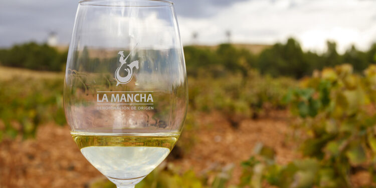 Satisfacción en el Consejo Regulador tras el ‘Día del Airén’ 2025 1 Satisfacción en el Consejo Regulador tras el ‘Día del Airén’ 2025