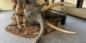 Tamajón inaugura su nueva escena paleolítica en un encuentro científico de referencia