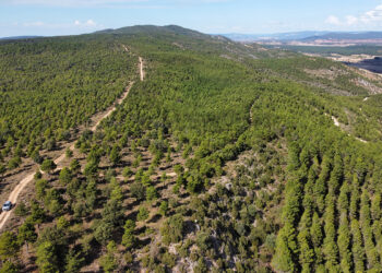 Toroverde mostrará los detalles del Parque mediante exposiciones en Cuenca, Tondos, Mariana y Sotos
