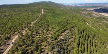 Toroverde mostrará los detalles del Parque mediante exposiciones en Cuenca, Tondos, Mariana y Sotos