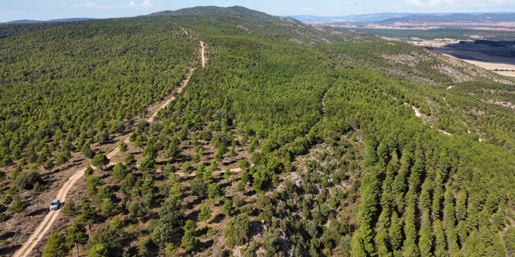 Toroverde mostrará los detalles del Parque mediante exposiciones en Cuenca, Tondos, Mariana y Sotos
