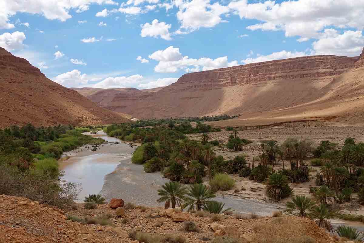 oasis en el valle draa