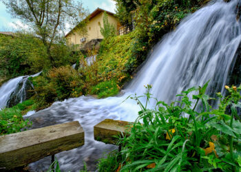 primer_premio_general