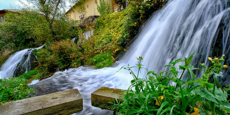 primer_premio_general