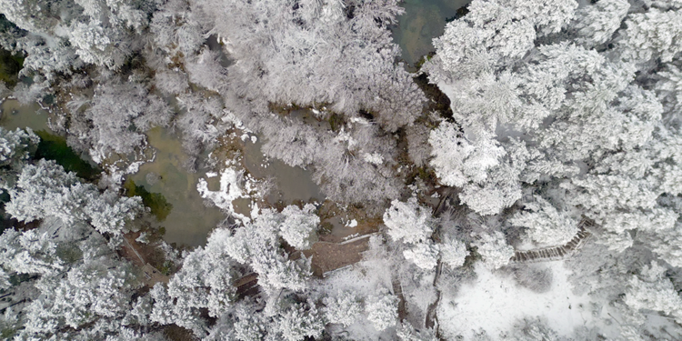 Vídeo reportaje. El Cuervo despide el año en paños menores 1 vlcsnap 00003