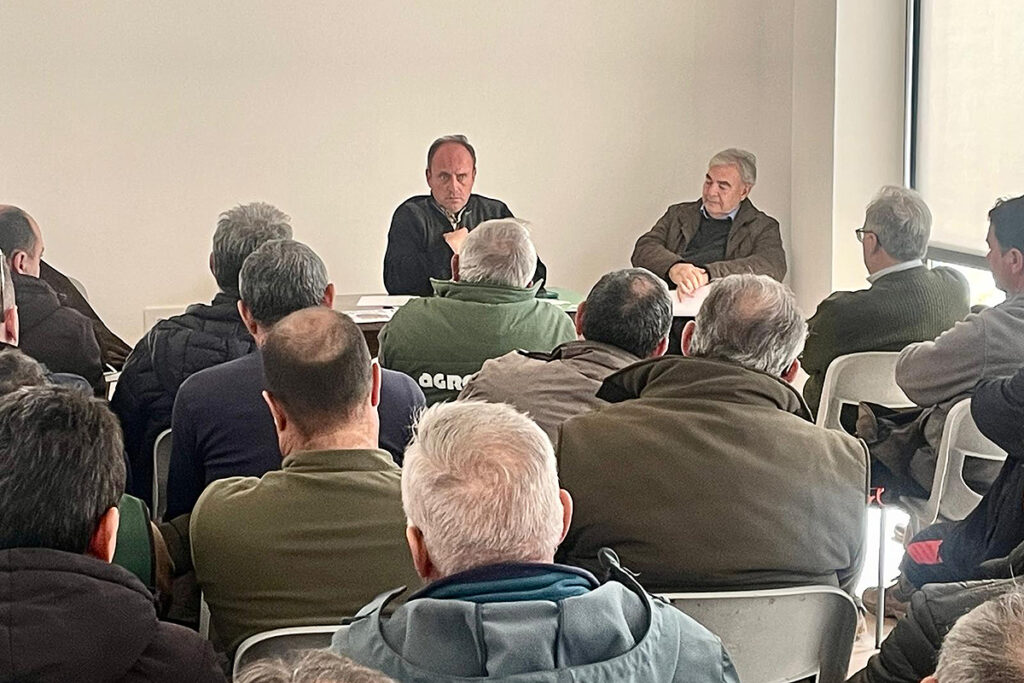 ASAJA CLM califica de “inútil e inservible” la declaración de comarca cinegética por daños de conejo y plantea el control biológico como alternativa 2 ASAJA CLM califica de “inútil e inservible” la declaración de comarca cinegética por daños de conejo y plantea el control biológico como alternativa