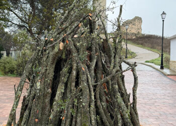 Almodóvar del Pinar celebra con ilusión el Día de San Antón con su encendido de hoguera y actividades tradicionales los días 16 y 17 de enero