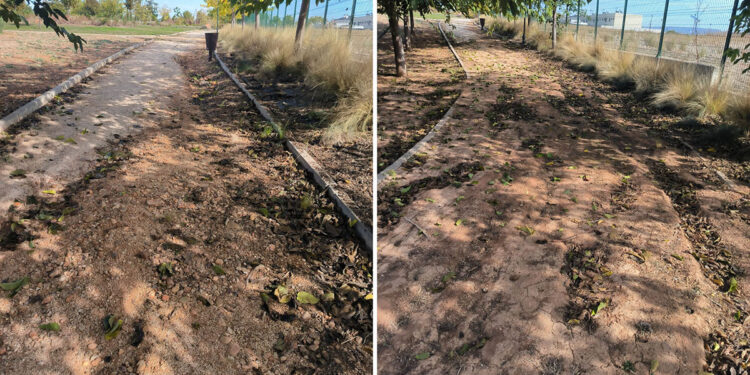 La resolución del Ministerio de Política Territorial, publicada en el BOE de este miércoles El Boletín Oficial del Estado de este miércoles 14 de enero de 2026 publicó una resolución de la Secretaría de Estado de Política Territorial, dependiente del Ministerio de Política Territorial, de fecha 29 de diciembre, por la que se acuerda la asignación de un conjunto de subvenciones a municipios de toda España para recuperar daños producidos en infraestructuras de titularidad municipal y en la red viaria a cuenta de las inundaciones y otros fenómenos meteorológicos que afectaron al país en el 16 de septiembre de 2024 y el 24 de marzo de 2025. En el caso de Cabanillas del Campo, la subvención otorgada al Ayuntamiento es de casi 13.000 euros (12.970 exactamente) y se divide en dos actuaciones, que se financian el 50%. Por un lado, y como actuación principal, en el Parque Elena de la Cruz se van a reparar algunos caminos que quedaron muy dañados por la aparición de escorrentías de agua durante aquellos fenómenos de lluvias. Este proyecto de arreglos se eleva a 21.646 euros de presupuesto, y la ayuda concedida por el Gobierno de España es de 10.823€. El otro proyecto contempla reparaciones menores en edificios municipales, por valor de casi 4.300 euros, y la subvención es de 2.147€. En concreto se trata de reparar una gotera que se ha generado junto a uno de los lucernarios de la Sala de Baile de la Casa de la Cultura, unas humedades aparecidas en el edificio de la Biblioteca Municipal León Gil; una filtración de agua encontrada en un aula del Colegio San Blas; y también reparar roturas de algunos terrazos del edificio de la Escuela Infantil Municipal “Tres Torres”. Conocidas estas ayudas, el Ayuntamiento ya ha comenzado a trabajar en los expedientes para proceder a la adjudicación de ambas obras.