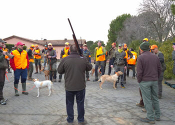 Carlos Carpintero y Beatriz Fernández ganan el Provincial de Caza Menor con Perro de Guadalajara