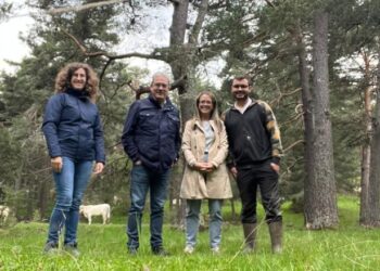Convocadas las ayudas para paliar los daños por ataques de necrófagas y de lobo con un incremento de las primas del 30 por ciento