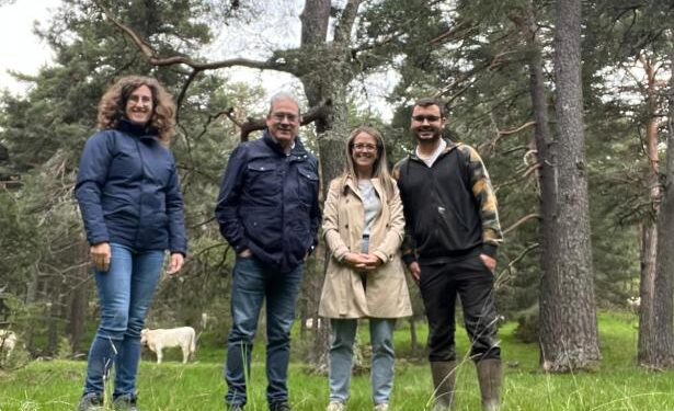 Convocadas las ayudas para paliar los daños por ataques de necrófagas y de lobo con un incremento de las primas del 30 por ciento 1 Convocadas las ayudas para paliar los daños por ataques de necrófagas y de lobo con un incremento de las primas del 30 por ciento