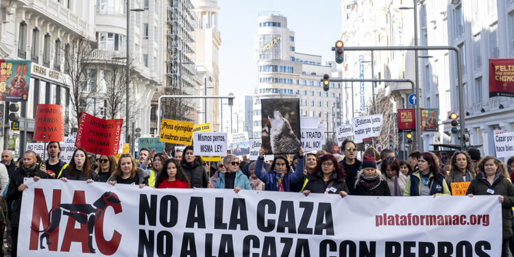 Cuenca alza la voz por el galgo la capital se une a la marcha mundial contra la caza este 1 de febrero