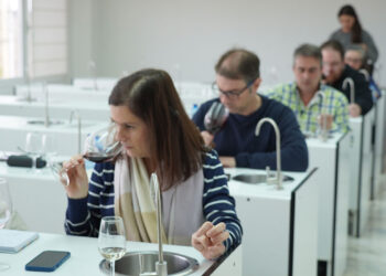 DO La Mancha arranca su XXXIX Concurso a la Calidad de sus vinos embotellados