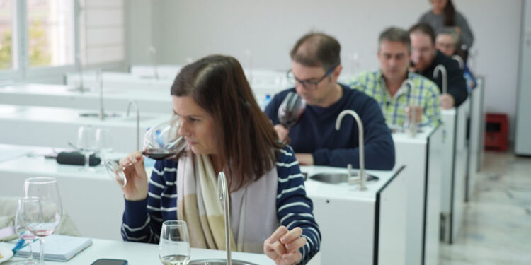 DO La Mancha arranca su XXXIX Concurso a la Calidad de sus vinos embotellados