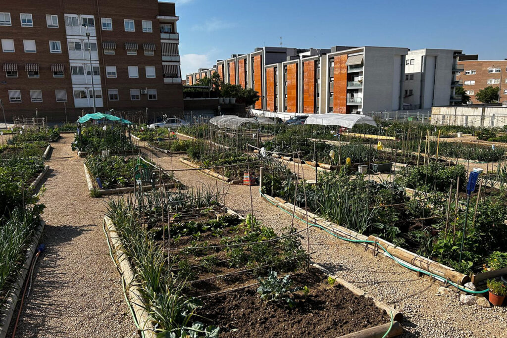 El Ayuntamiento de Cuenca abre la nueva convocatoria de uso de los Huertos Sociales para 2026-2027