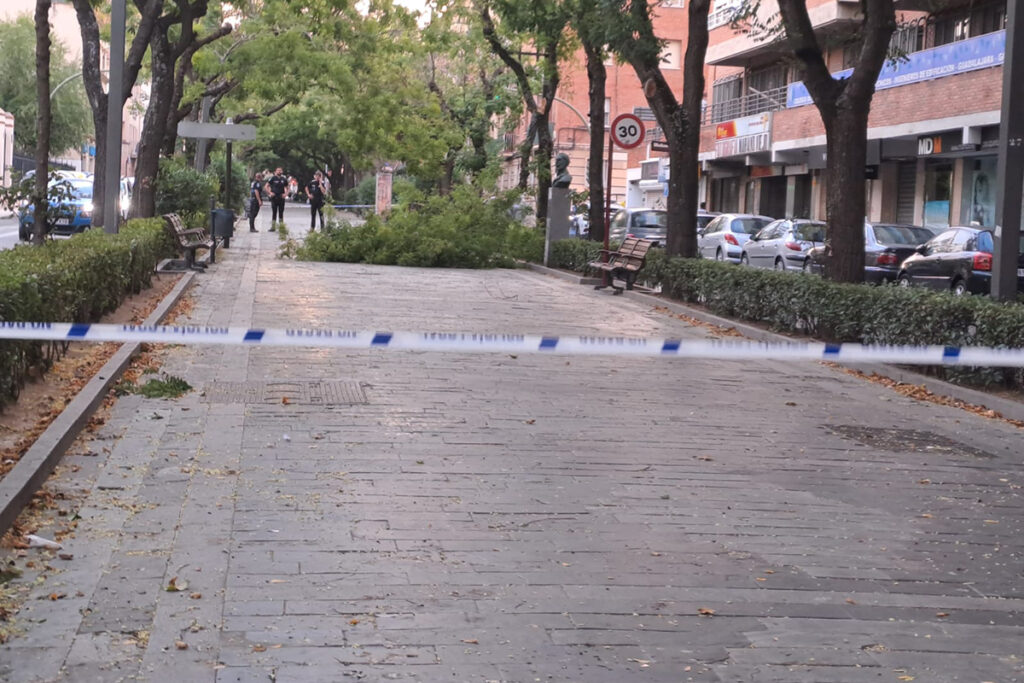 El Ayuntamiento de Guadalajara activa el PLATEMUN ante el aviso amarillo por nevadas y fuertes vientos y decreta el cierre de parques y zoo municipal