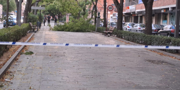 El Ayuntamiento de Guadalajara activa el PLATEMUN ante el aviso amarillo por nevadas y fuertes vientos y decreta el cierre de parques y zoo municipal