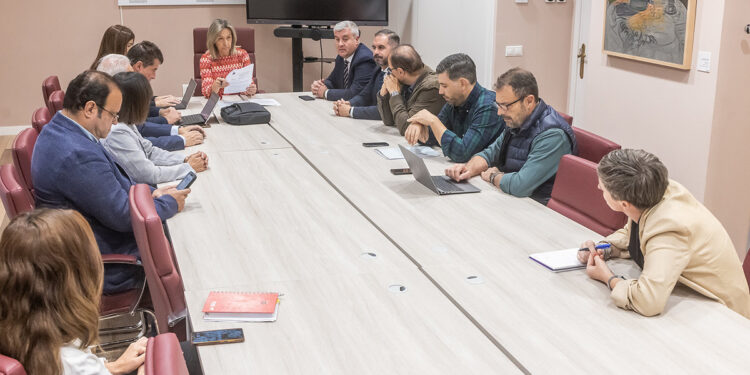 El Ayuntamiento de Guadalajara da luz verde a nuevas licencias urbanísticas y a la revisión del contrato del alumbrado público