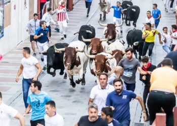 El Ayuntamiento de Guadalajara inicia el proceso para adjudicar la organización integral del ciclo taurino de 2026 y 2027