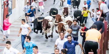 El Ayuntamiento de Guadalajara inicia el proceso para adjudicar la organización integral del ciclo taurino de 2026 y 2027
