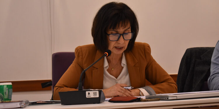 El PSOE lamenta que Guarinos se oponga a destinar una línea de ayudas directas a los comercios locales de la ciudad 1 El PSOE lamenta que Guarinos se oponga a destinar una línea de ayudas directas a los comercios locales de la ciudad