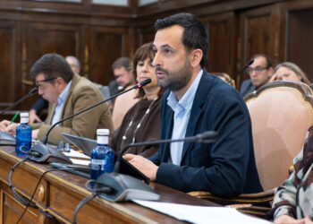El pleno de la Diputación de Guadalajara rechaza una moción del Grupo VOX sobre ayudas a mastines por incumplir la normativa vigente