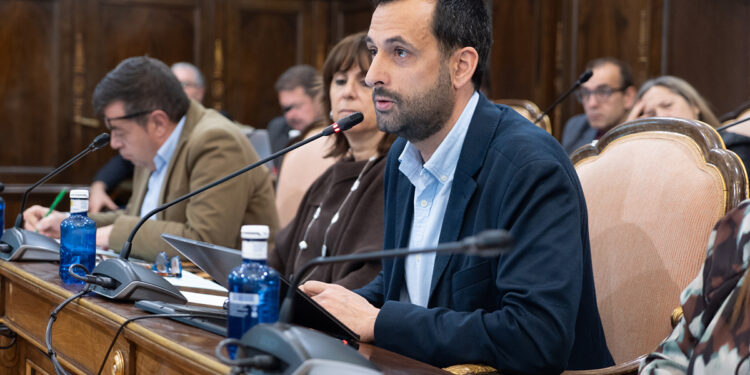 El pleno de la Diputación de Guadalajara rechaza una moción del Grupo VOX sobre ayudas a mastines por incumplir la normativa vigente