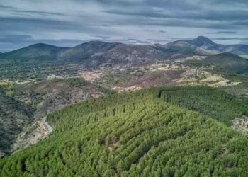 El territorio gestionado por ADEL Sierra Norte alcanza los 11.449 habitantes en 2025