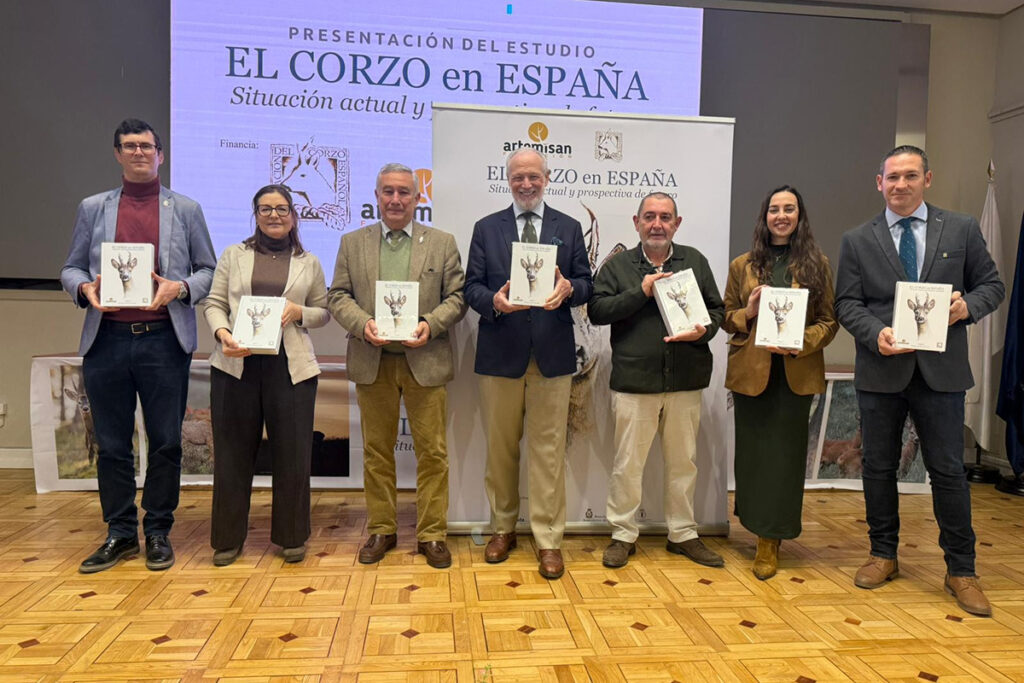 Guadalajara, entre las provincias con más accidentes de tráfico provocados por los corzos 2 Guadalajara, entre las provincias con más accidentes de tráfico provocados por los corzos