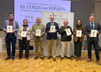 Guadalajara, entre las provincias con más accidentes de tráfico provocados por los corzos