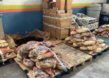 La Guardia Civil desarticula en Guadalajara un violento grupo criminal dedicado al robo de camiones en la A-2 y zona centro 10 La Guardia Civil desarticula en Guadalajara un violento grupo criminal dedicado al robo de camiones en la A-2 y zona centro